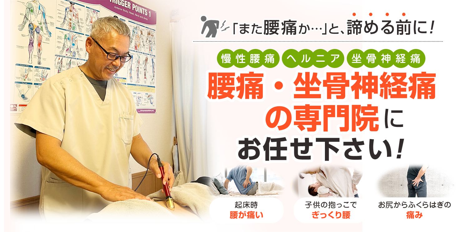長岡式「腰痛・坐骨神経痛」完全攻略テクニックDVD4枚 長岡式「腰痛・坐骨神経痛」完全政略テクニック 長岡隆志 DVD