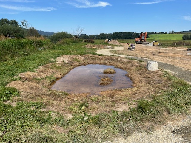 neu angelegte Pfütze auf Urzeitwiese, Herbst 2024, MSchmidberger