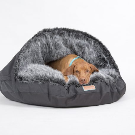 ferngesteuertes katzenspielzeug Pet Toy: Ferngesteuertes Spielzeug fr Katzen (Mini-Auto)