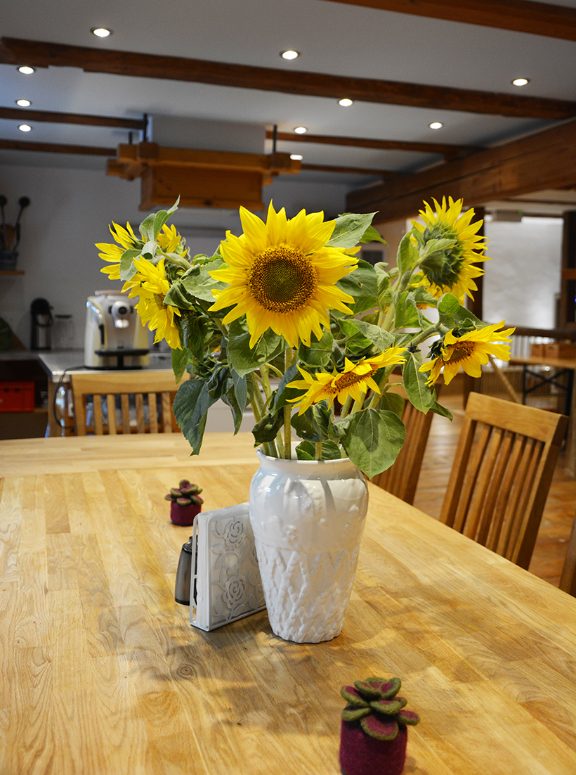 Aufenthaltsraum und Küche im Waldviertler Seminarhaus Gauguschmühle