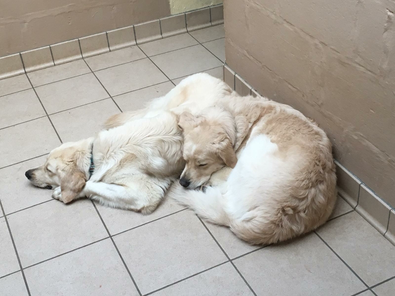 Gallery Riverside Boarding