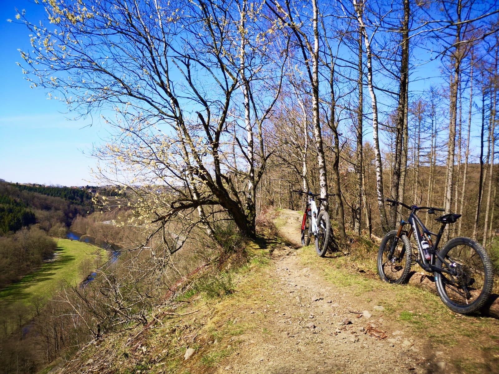 Blaubeer Trail