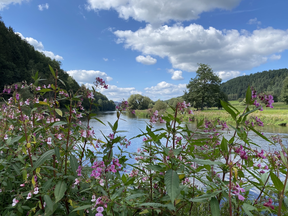 VanSpiDays - Mikro-Trip nach Bayerisch Kanada