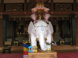 現在の誓教寺 誓教寺ホームページです