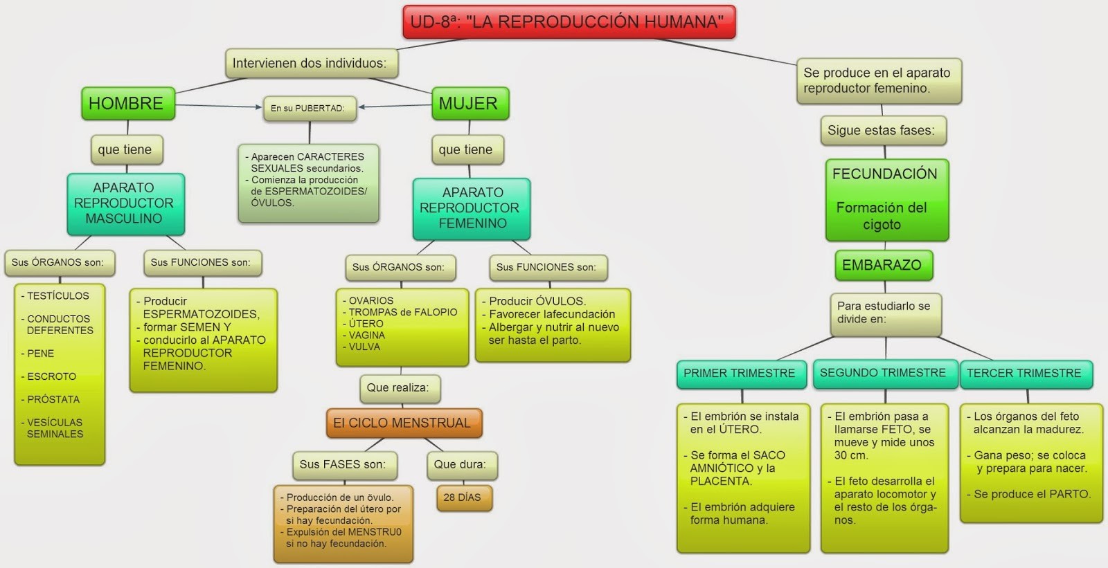 APARATO REPRODUCTOR Página web de 6bprimaria