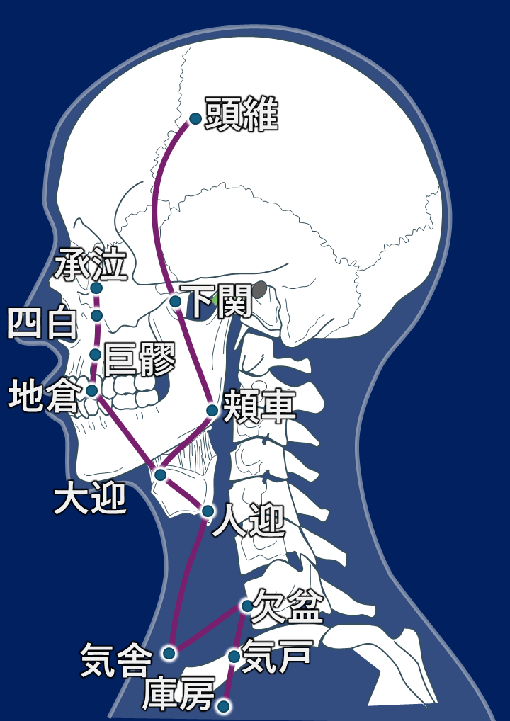 「歯からくる全身の不調！」「東洋医学で読み解く原因と解決法」