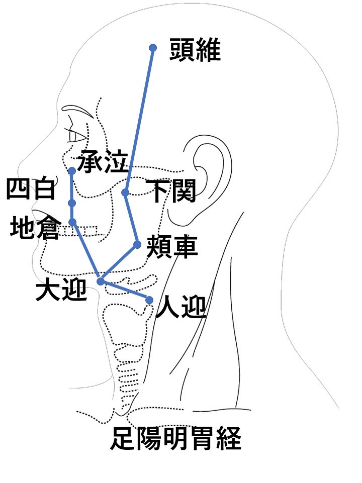 「歯からくる全身の不調！」「東洋医学で読み解く原因と解決法」