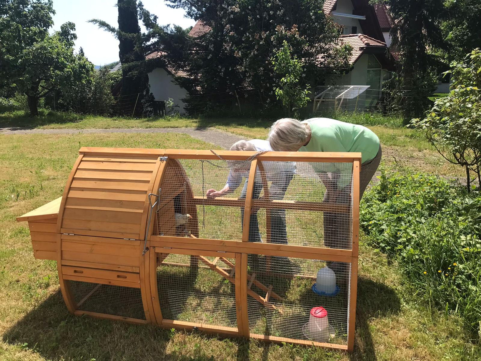 die Bibeli werden grösser