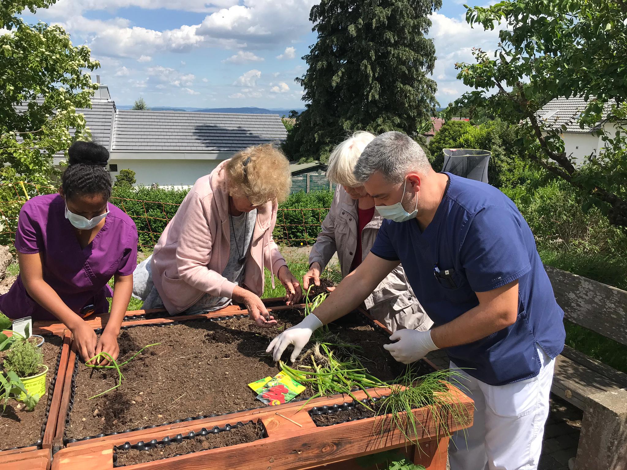 unser Hochbeet wird bepflanzt