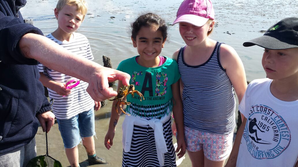 Klassenfahrten an die Nordsee