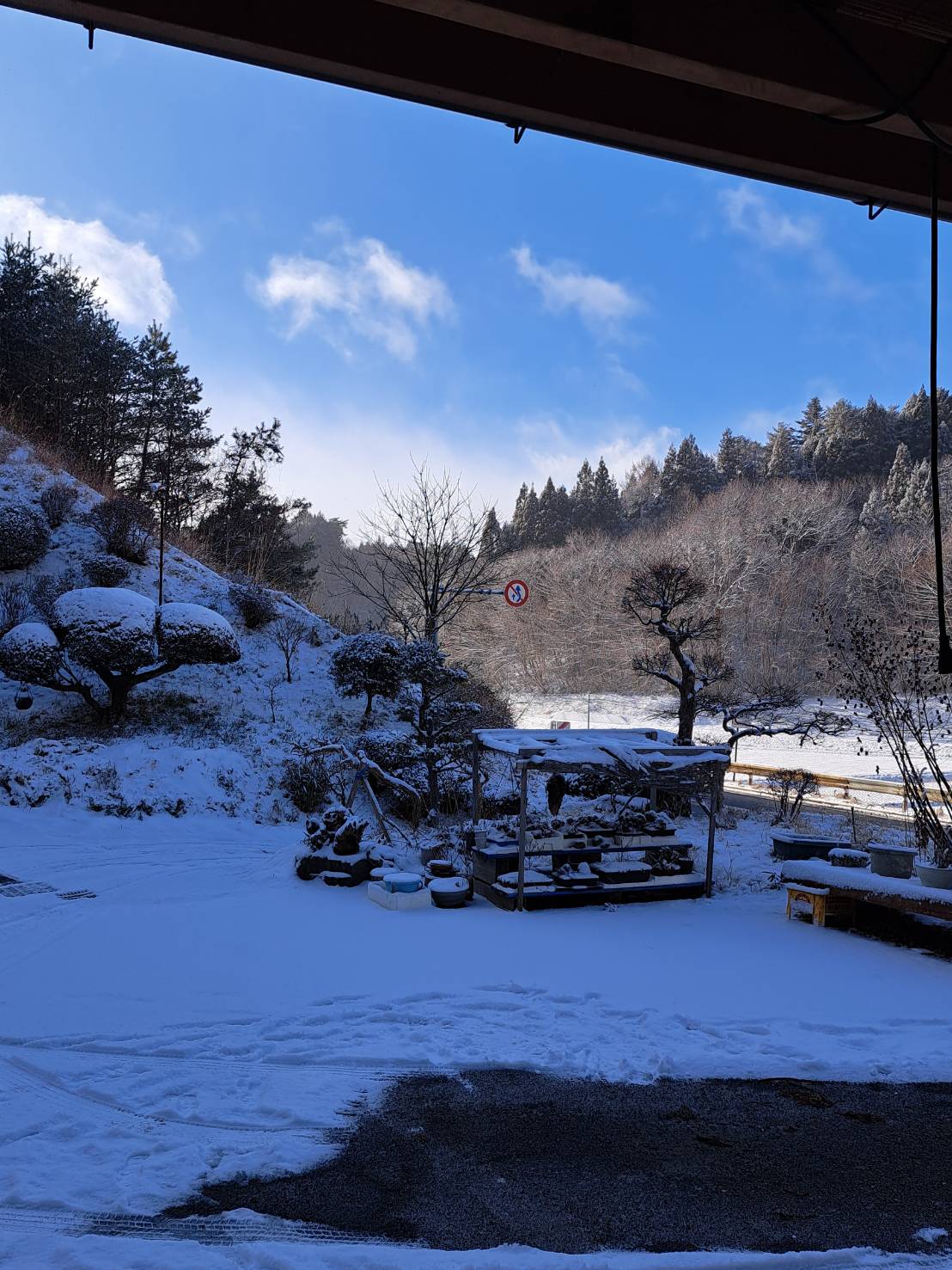 雪⛄
