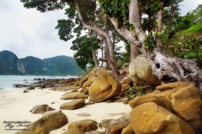 Phi Phi Island