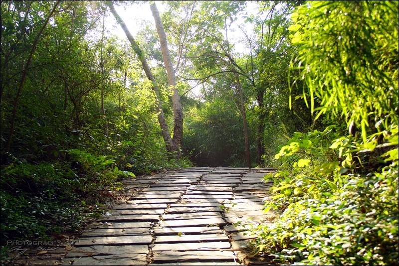 Nong Bua Lamphu