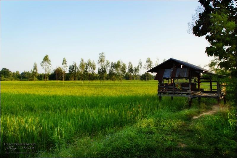 Nong Bua Lamphu