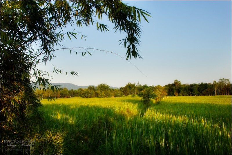 Nong Bua Lamphu