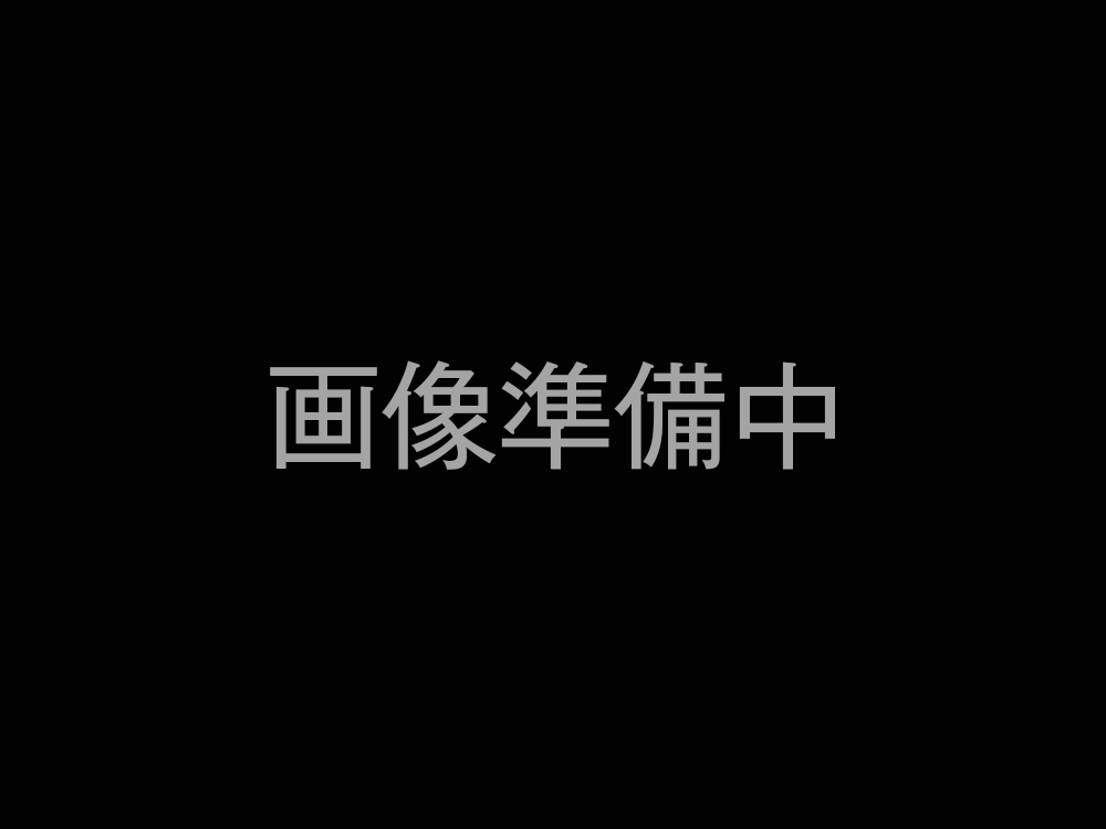 ムラ 経過報告用　バックパネル一式 ムラ様専用 経過報告用 バックパネル一式
