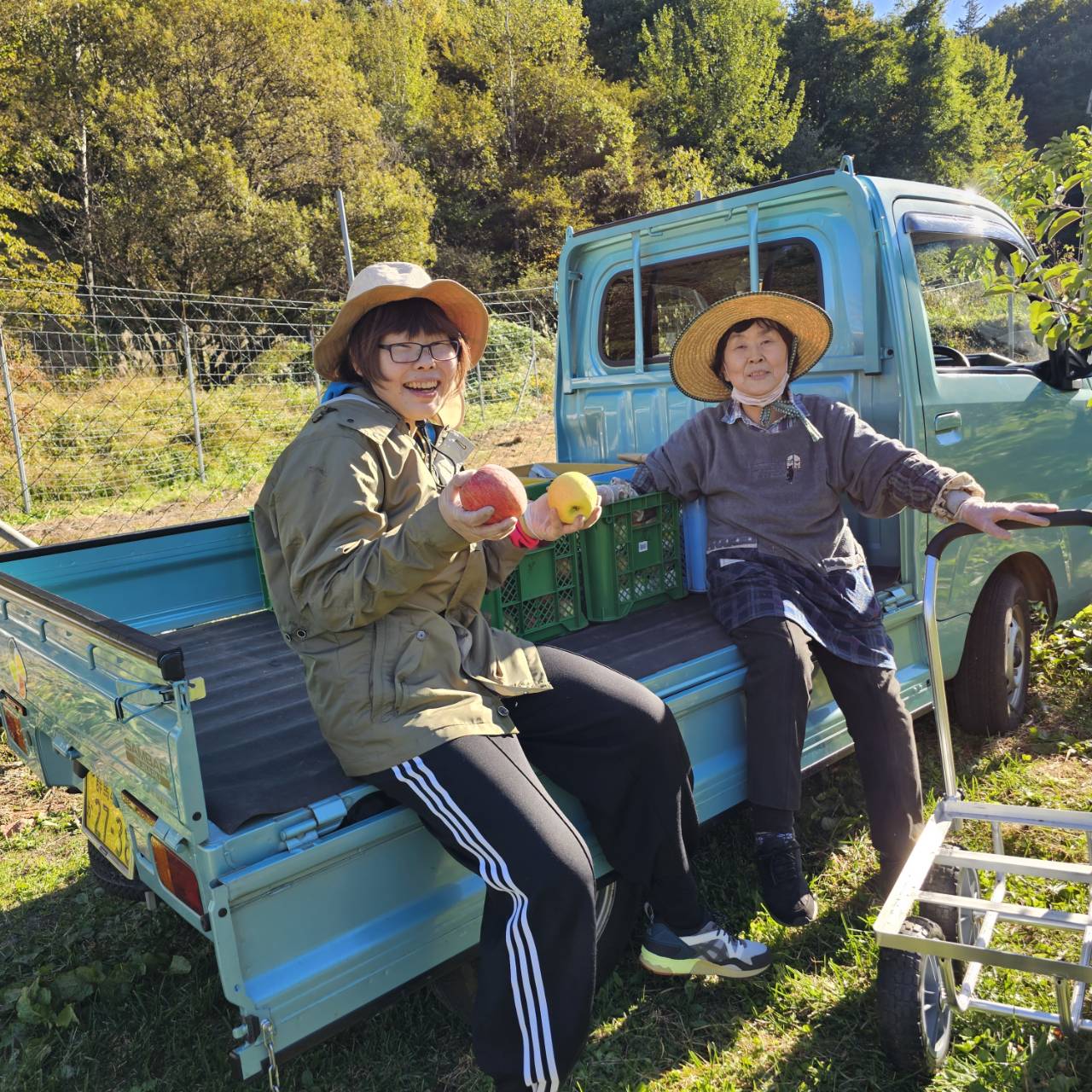 OTETUDABI Project for Solving Short-Term Labor Shortages and Revitalizing Apple Orchards for Tourism in 2023