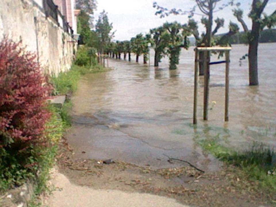 Hochwasser in 2013 I.