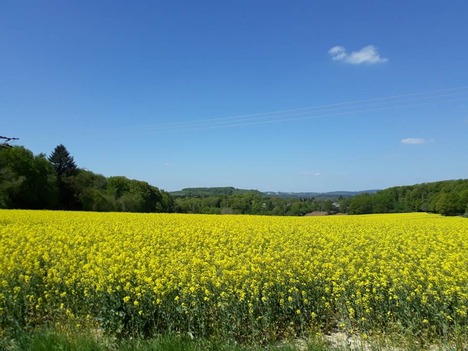 So ein Anblick erinnert mich irgendwie an früher...