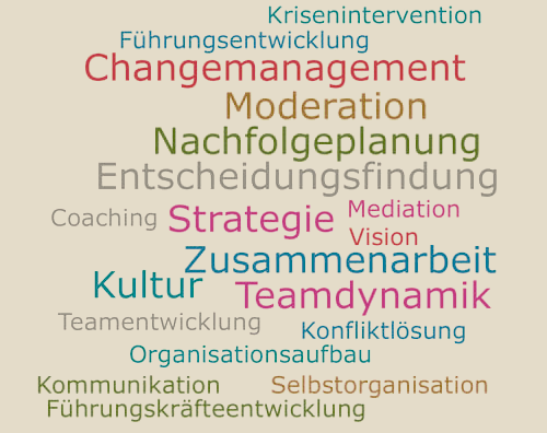 Teamentwicklung Konfliktlösung Strategie Strategie Entscheidungsfindung Entscheidungsfindung Abläufe Zusammenarbeit Zusammenarbeit Aufbauorganisation Funktionsgestaltung Kommunikation Selbstorganisation Vision Kultur Kultur Nachfolgeplanung Nachfolgeplanu