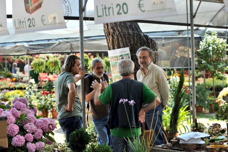 Foto di Francesco Marotta