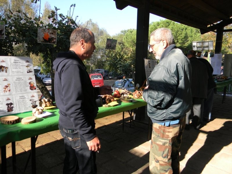 Mostra di micologia a Valle di Perna Roma 12 e 13 Novembre 2011