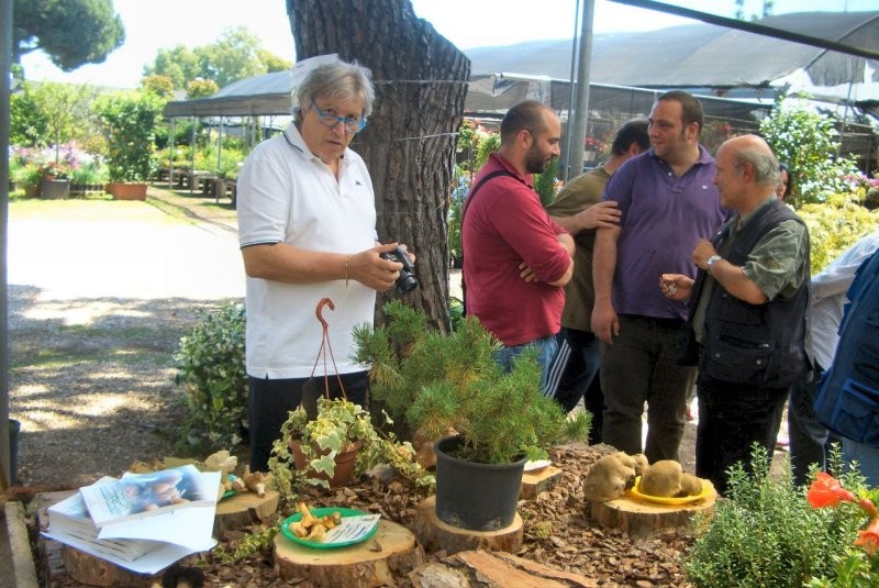 Mostra micologica a Torvajanica del 16 giugno 2012 presso il vivaio Crescenzo