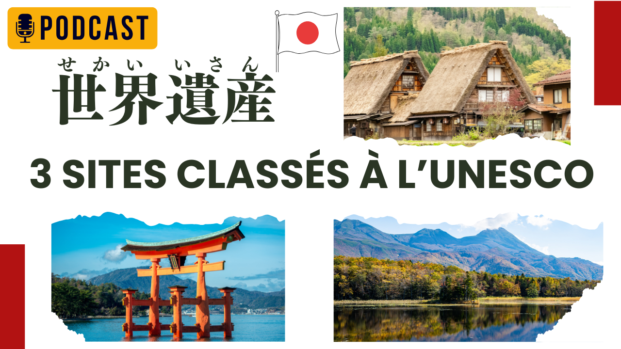 #5-10 Voyage d’été au Japon : 3 sites du patrimoine mondial/ JLPT N3  Compréhension orale en japonais Cours de japonais