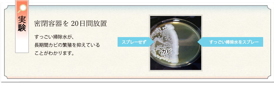 実験・密閉容器を20日間放置。すっごい掃除水が、長期間カビの繁殖を抑えていることがわかります。