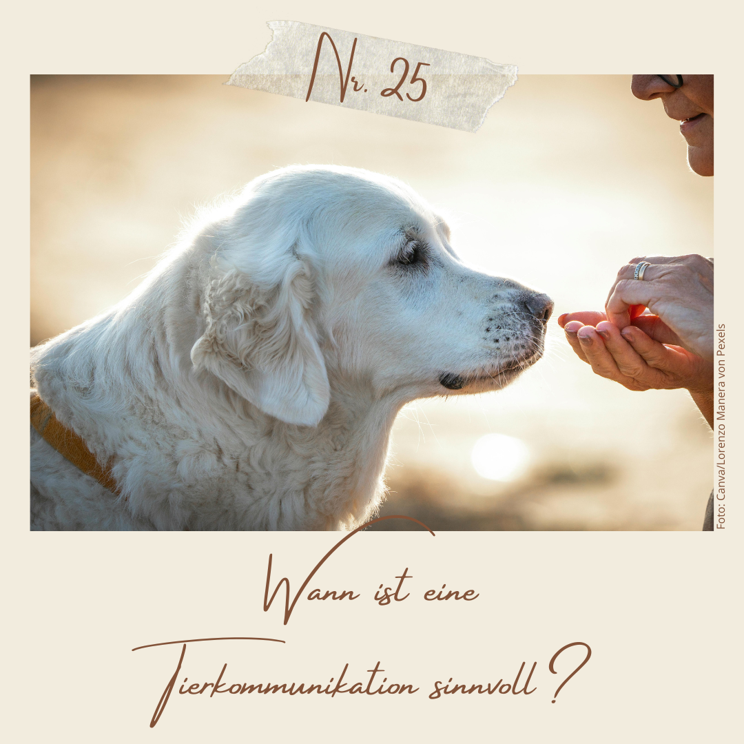 Wann ist eine Tierkommunikation sinnvoll?
