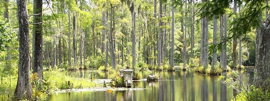 Cypress Gardens