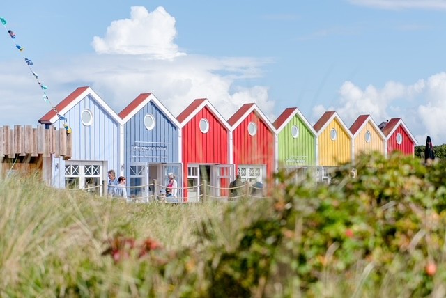 Naturfotografie und maritime Motive von Langeoog