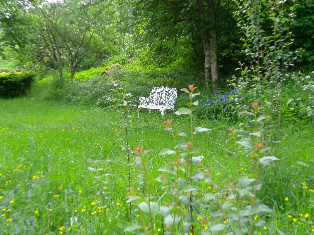 Garten-Impression