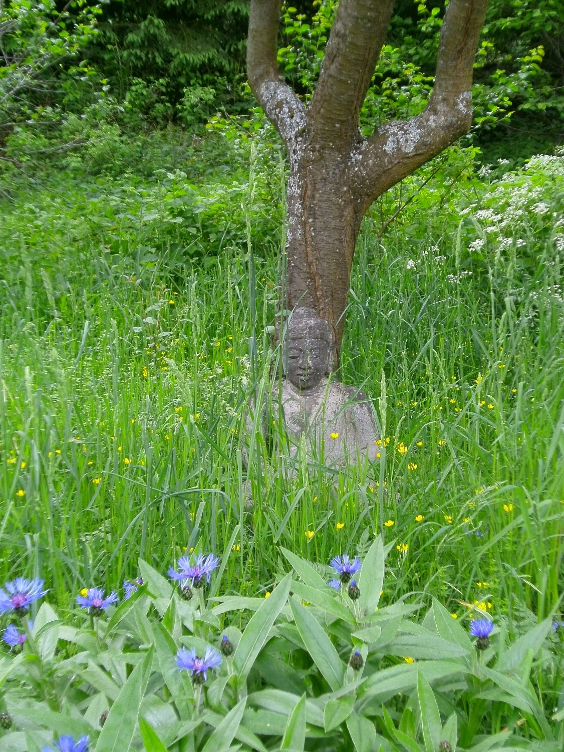 Entspannung im Garten