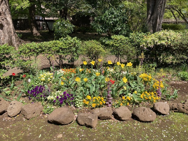 緑長生会さんがお手入れしている花壇