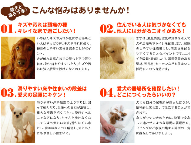 愛犬家住宅 新築でもリフォームでも長野県佐久市のいい家をリーズナブルに 株式会社 スターフィールド建築設計 ゼロエネルギー住宅 リフォーム 新築 エクステリア 太陽光発電等 住宅のことならお気軽にご相談下さい 愛犬家住宅 新築でもリフォームでも長野県佐久市のいい家をリーズナブルに 株式会社 スターフィールド建築設計 ゼロエネルギー住宅 リフォーム 新築 エクステリア 太陽光発電等 住宅のことならお気軽にご相談下さい