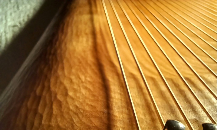 Premium edition detail (cherry)