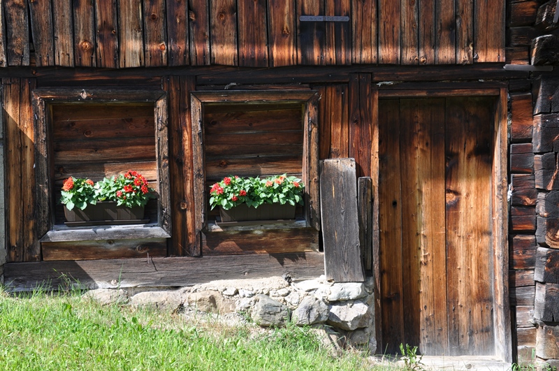 Stallblumen beim Aussacher