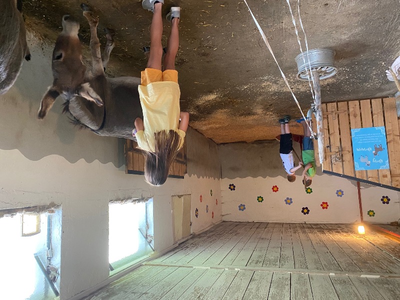 Fleißige Helfer im Stall
