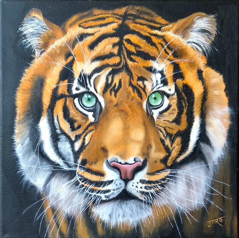 Tiger - NON DISPONIBLE - Copyright Joel GEORGE 2020
