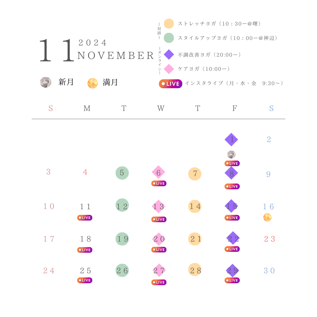 11月のスケジュール