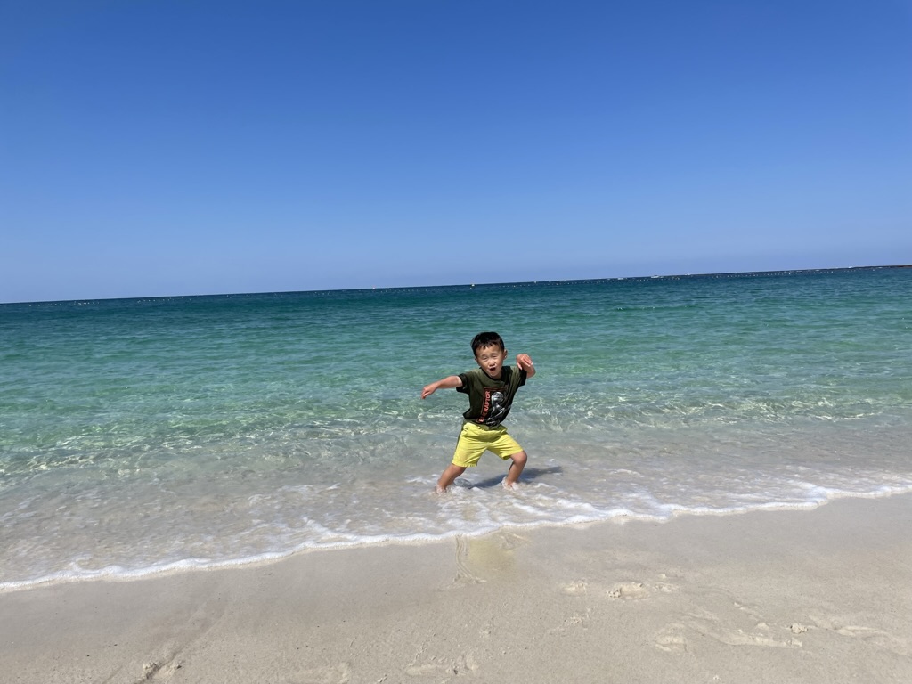 今、白浜がアツイ‼️