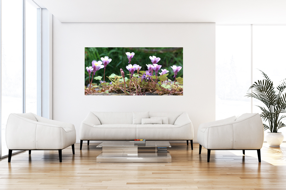 Panorama 120x60/ "Violet Flowers"