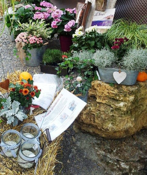 LaVendel und Tierliebe Grenzenlos....