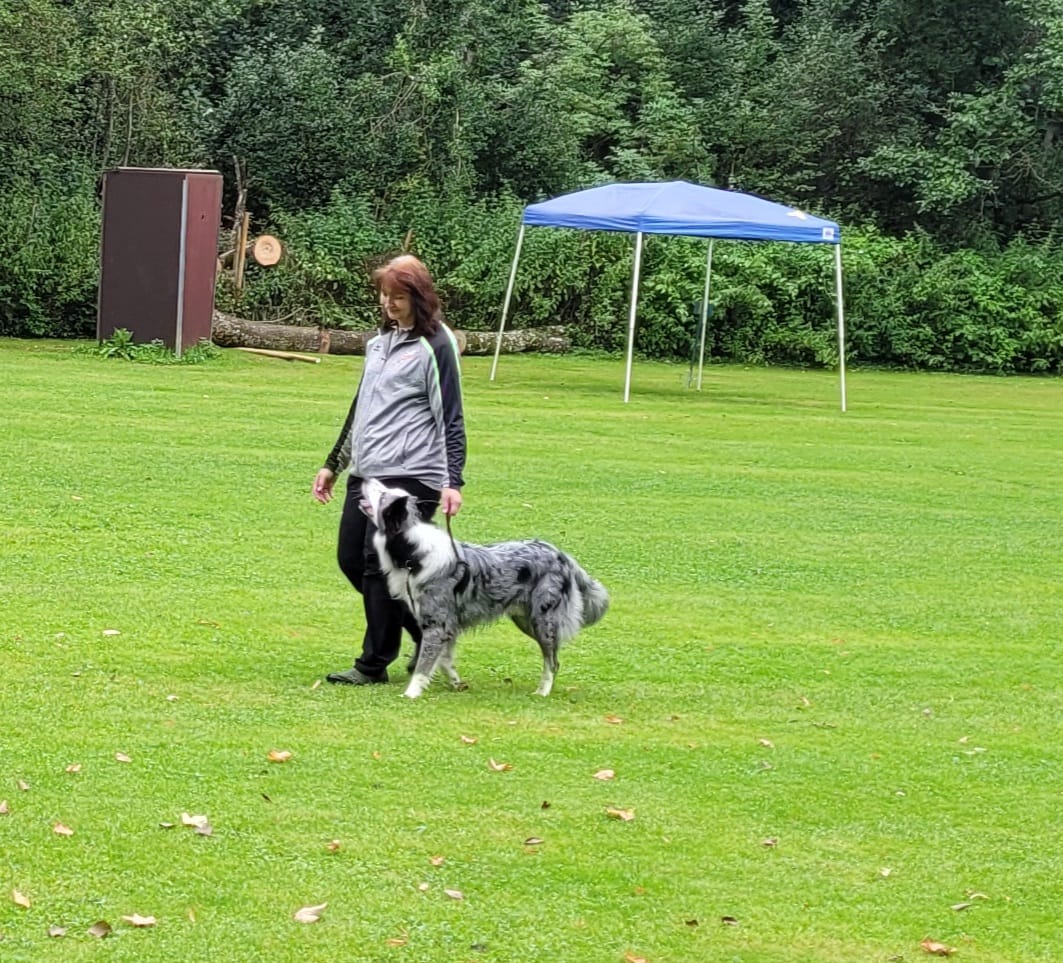 Karin und Rocky in der Leinenführigkeit