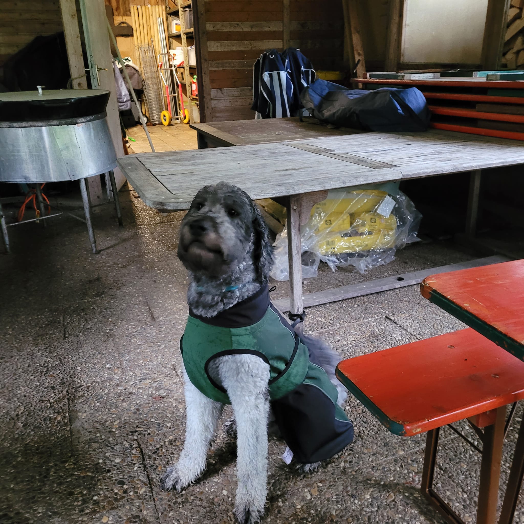 Berti gut eingepackt