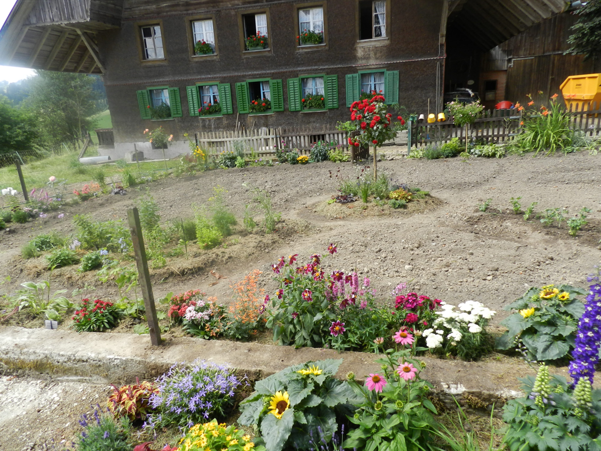 neben Gemüse und Kräutern immer wieder Blumen