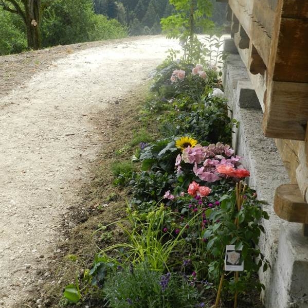 ringsum mit Blumen geschmückt