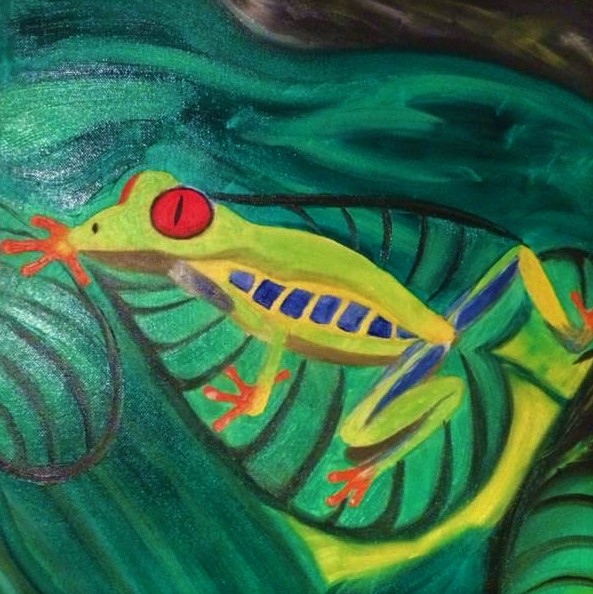 NR.3 Red-eyed tree frog