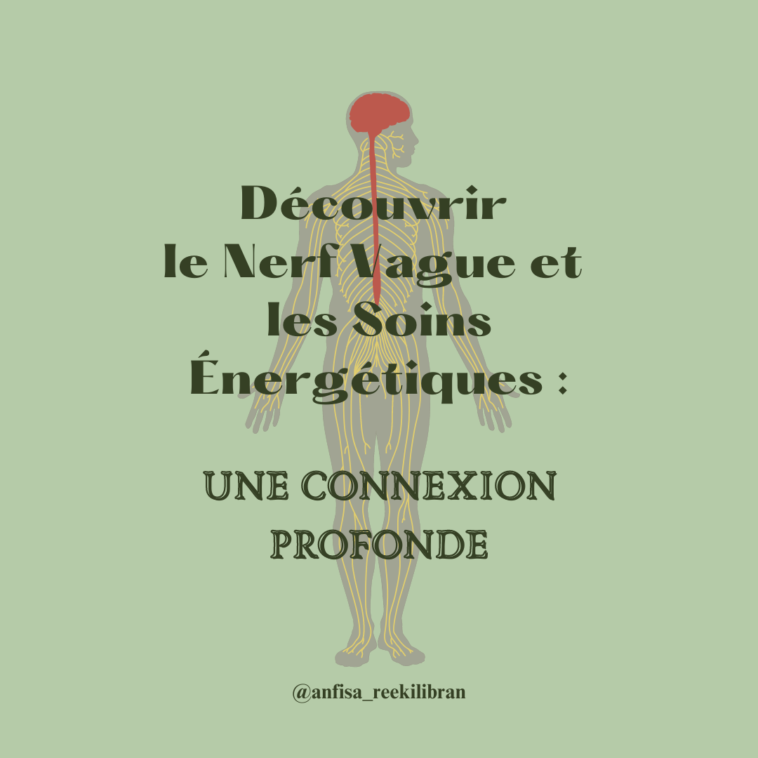 Découvrir le Nerf Vague et les Soins Énergétiques : Une connexion profonde